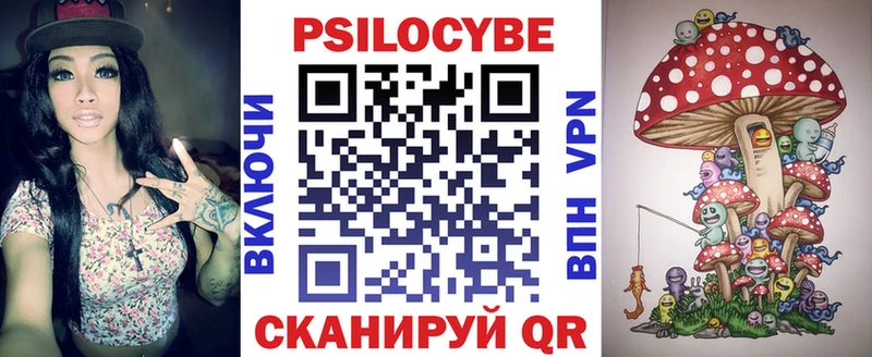 Псилоцибиновые грибы Psilocybe  Купить закладки  Тарко-Сале 